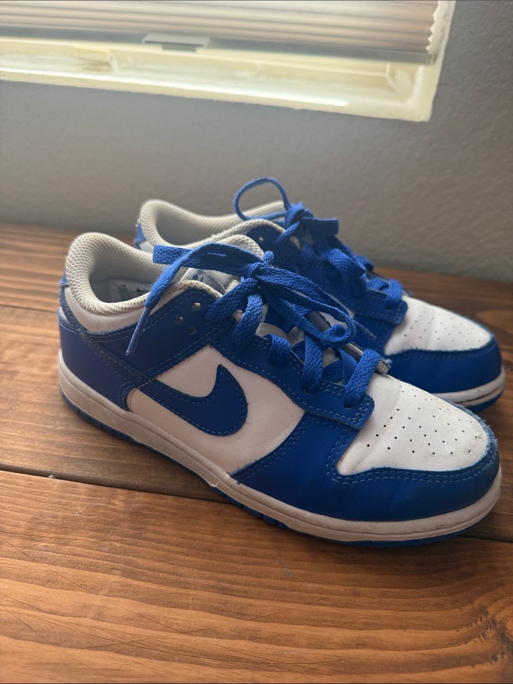 Nike Kids Royal Blue and White Low-Top Sneakers size 2.5Y